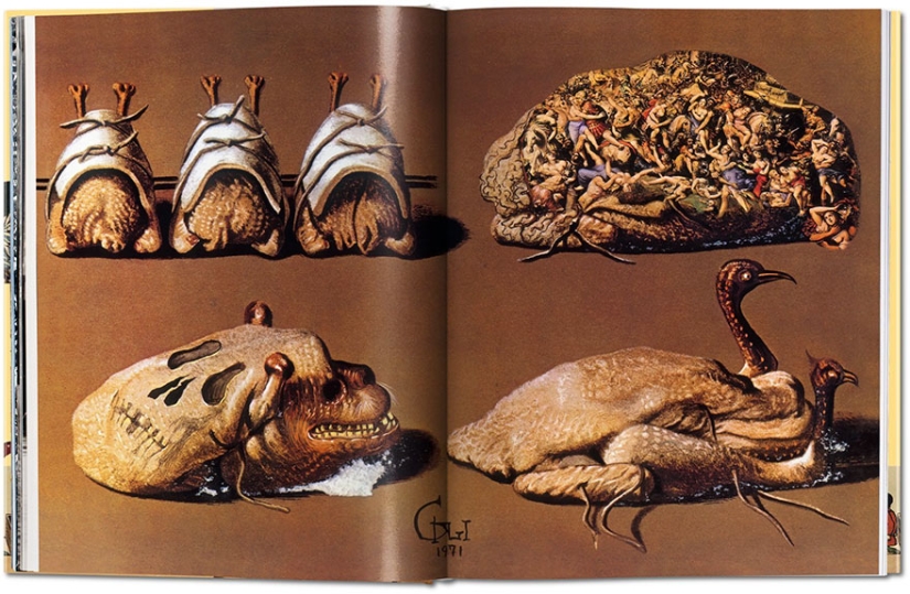 Salvador Dali's Cookbook with non-child illustrations