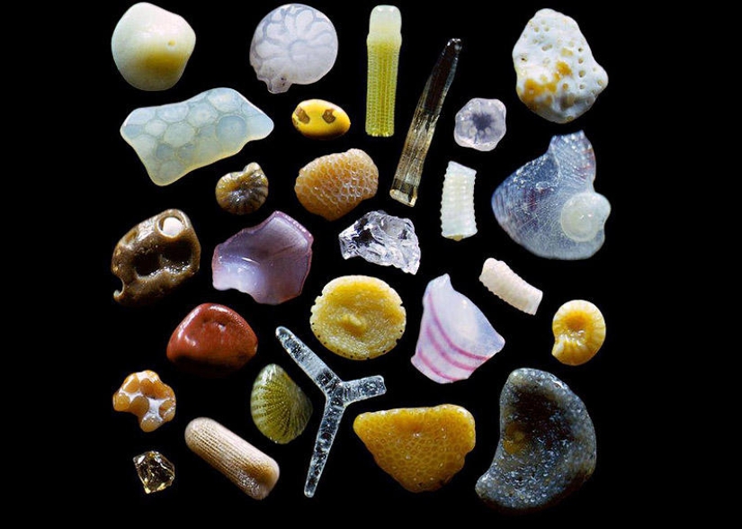 Sand under the microscope