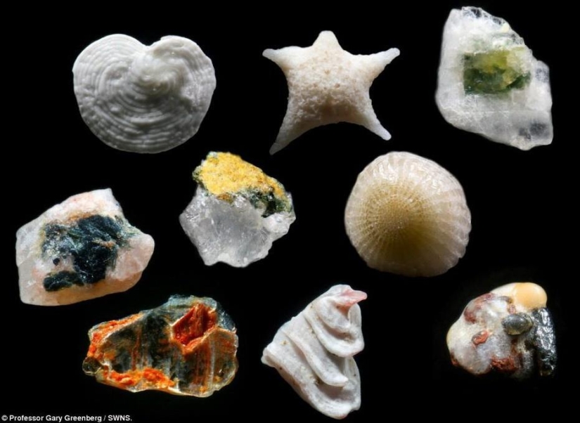 Sand under the microscope