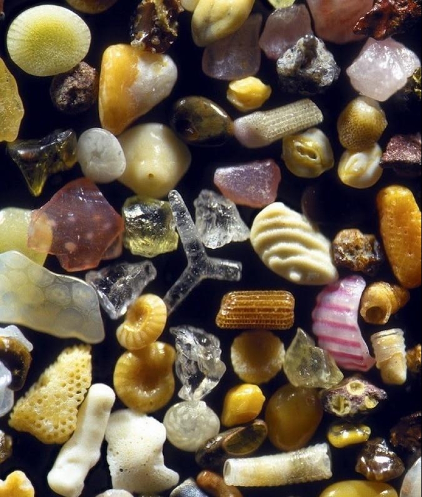 Sand under the microscope