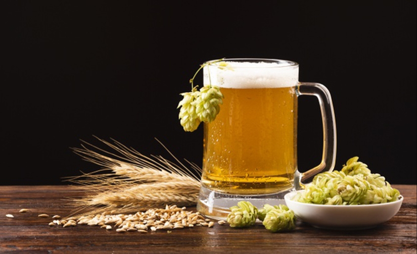 Scientists from the USA have found that light beer is very useful for the intestines