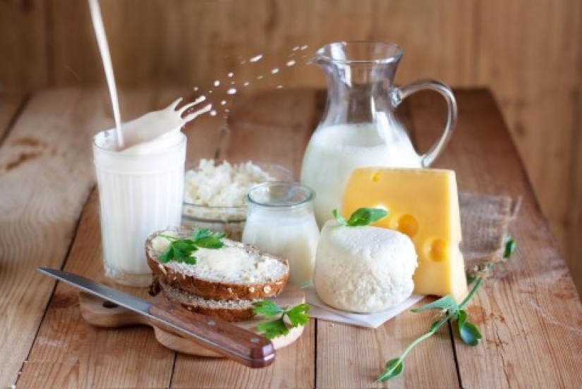 Scientists have determined is dangerous to humans, the dose of dairy products
