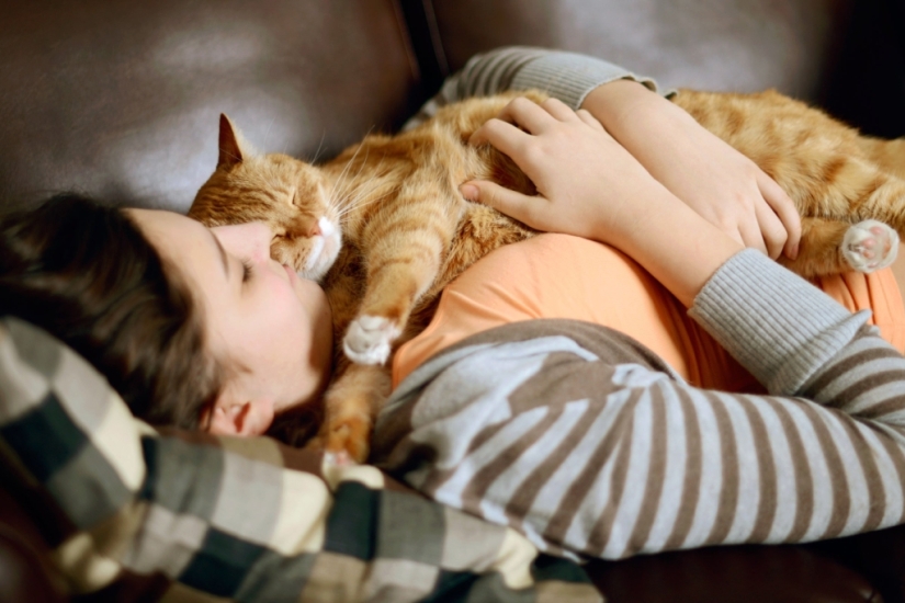 Scientists have explained the ability of cats to calm a person