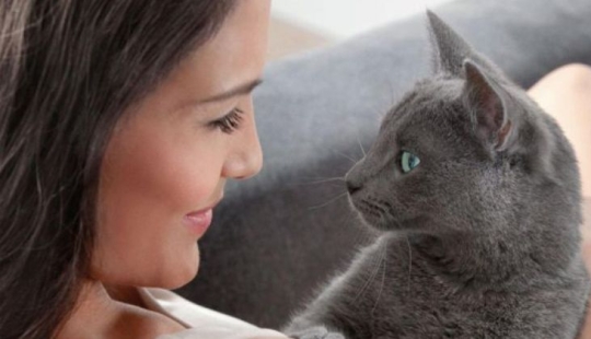 Scientists have told about a secret way to establish contact with a cat
