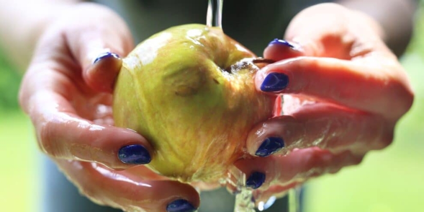 Scientists told how to properly wash apples from the store
