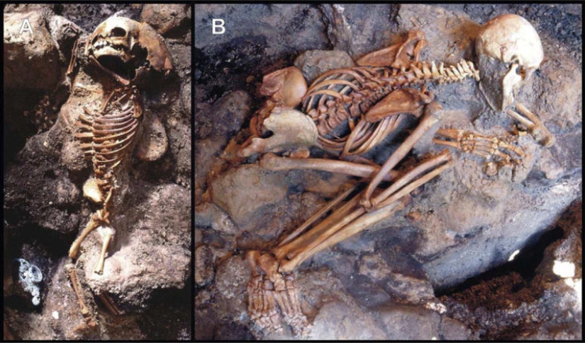 Screams of pain and boiling blood: archaeologists told how the inhabitants of Pompeii died