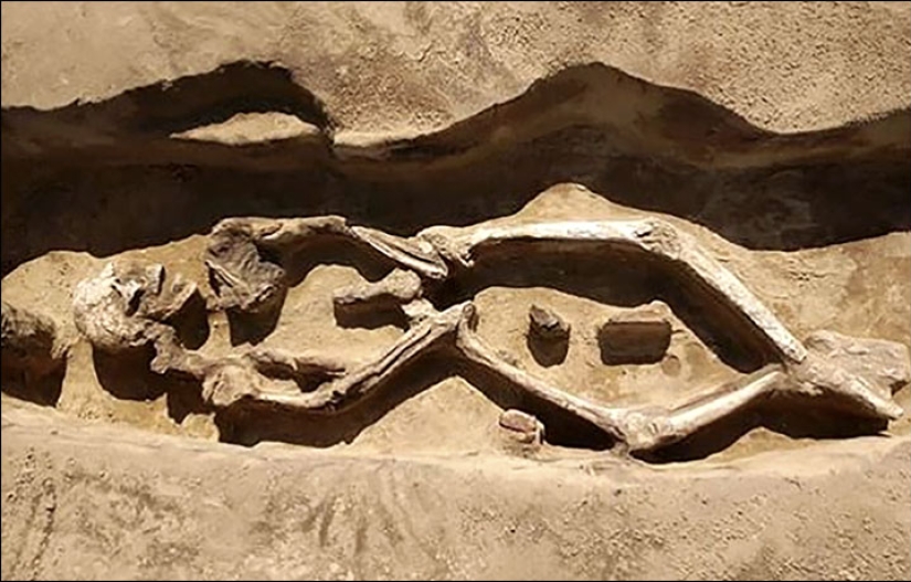 Se ha descubierto un entierro único con un esqueleto "danzante" en Siberia
