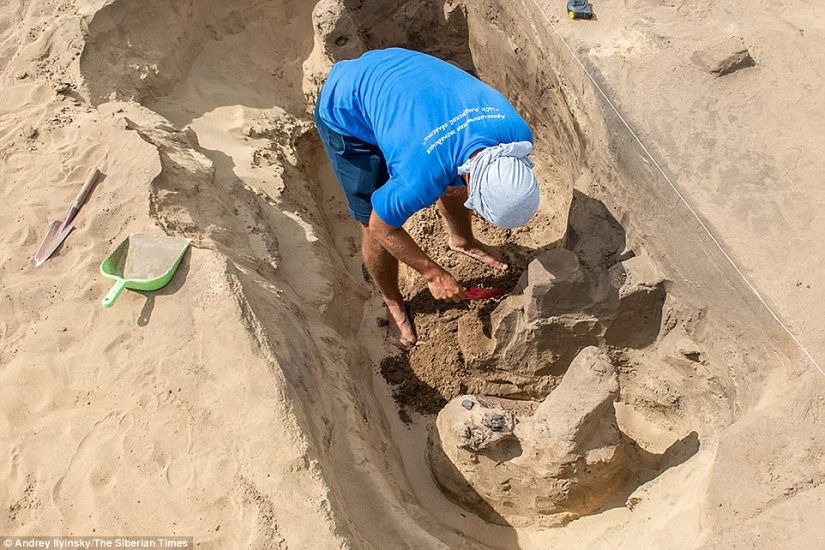 Se ha descubierto un entierro único con un esqueleto "danzante" en Siberia