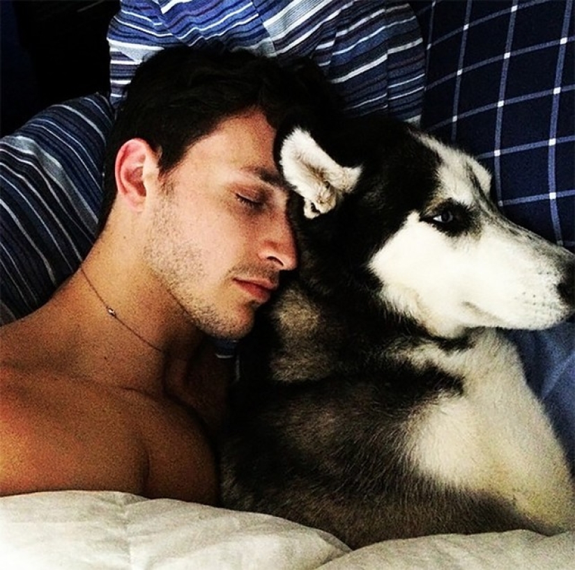 Sexy doctor and his glorious husky!