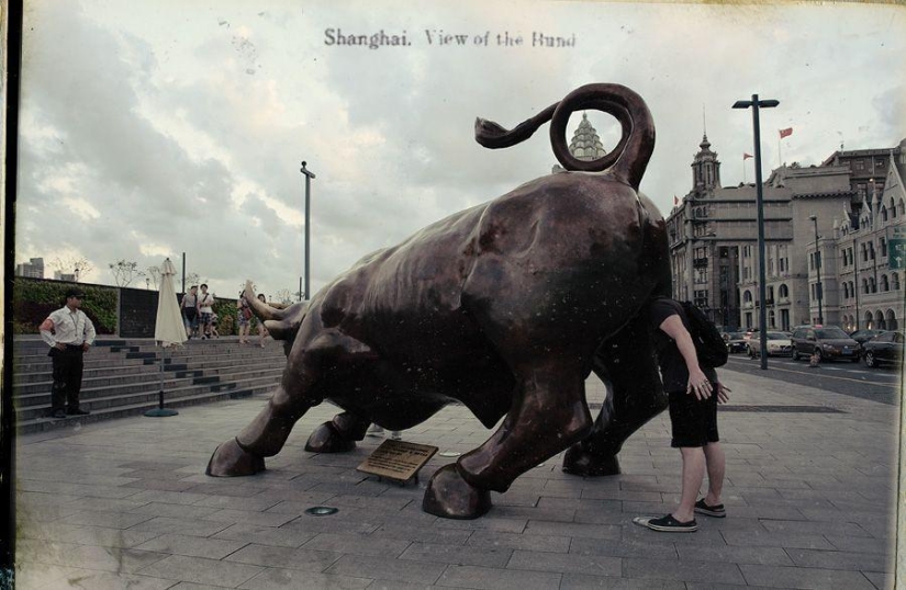 Shanghai bull. Day very first