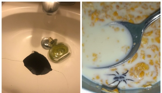 Shit happens: 22 photos filled with pain and disappointment