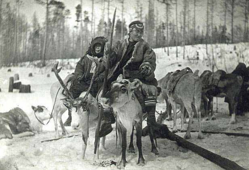Siberian Western: in 1943 caught a gang Evenk Pavlova, who plundered the gold mines
