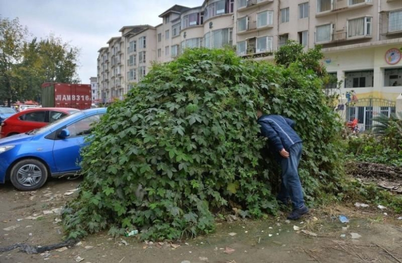 Sinister zombie car from China