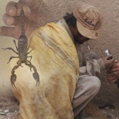 Smoking dead scorpions is an exotic drug addiction from Pakistan