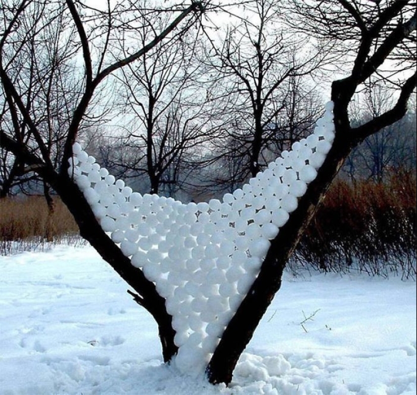 Snow wonders that you will see once in your life