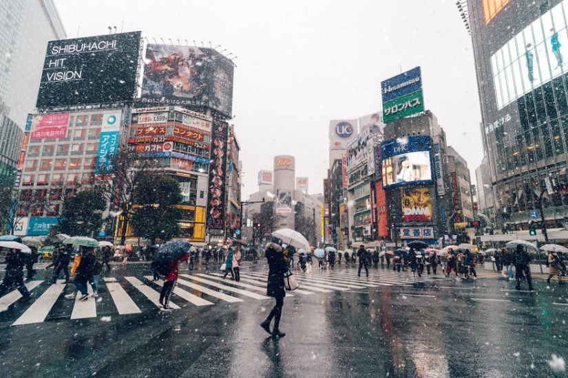 Snowy Tokyo