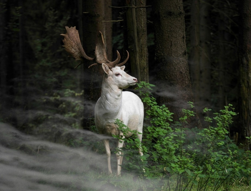 Sony World Photography Awards 2015 - La flor y nata de la fotografía durante todo el año