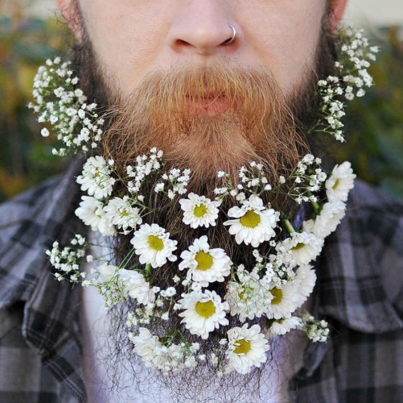 Spring has come - the beard has blossomed!
