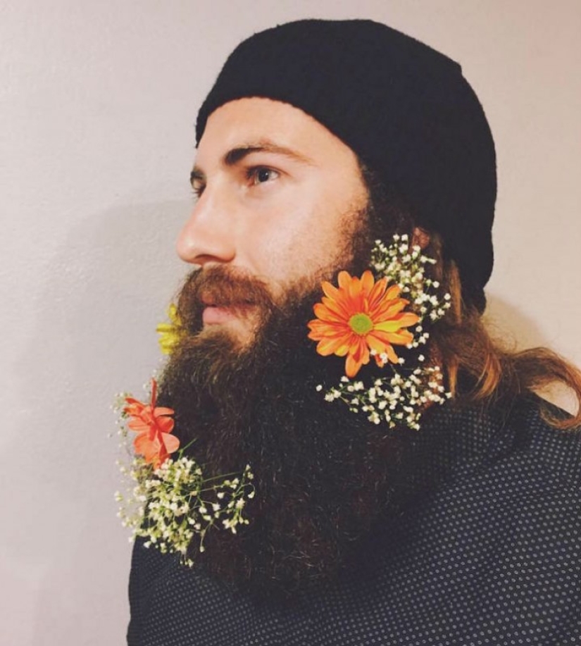 Spring has come - the beard has blossomed!