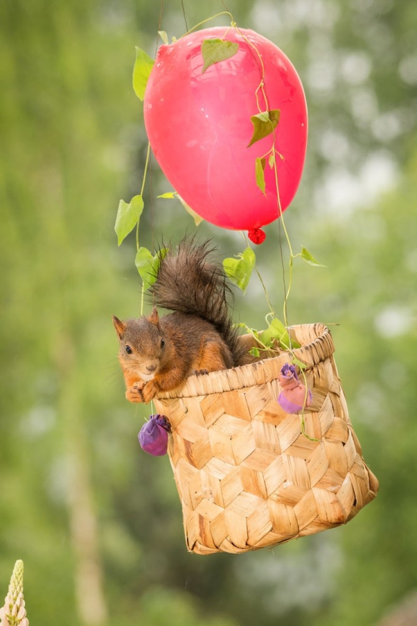 Squirrels from the window - it&#39;s amazing!