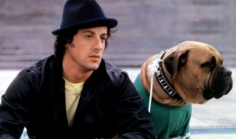 Stallone misses a long-dead friend, whom he sold in a difficult moment