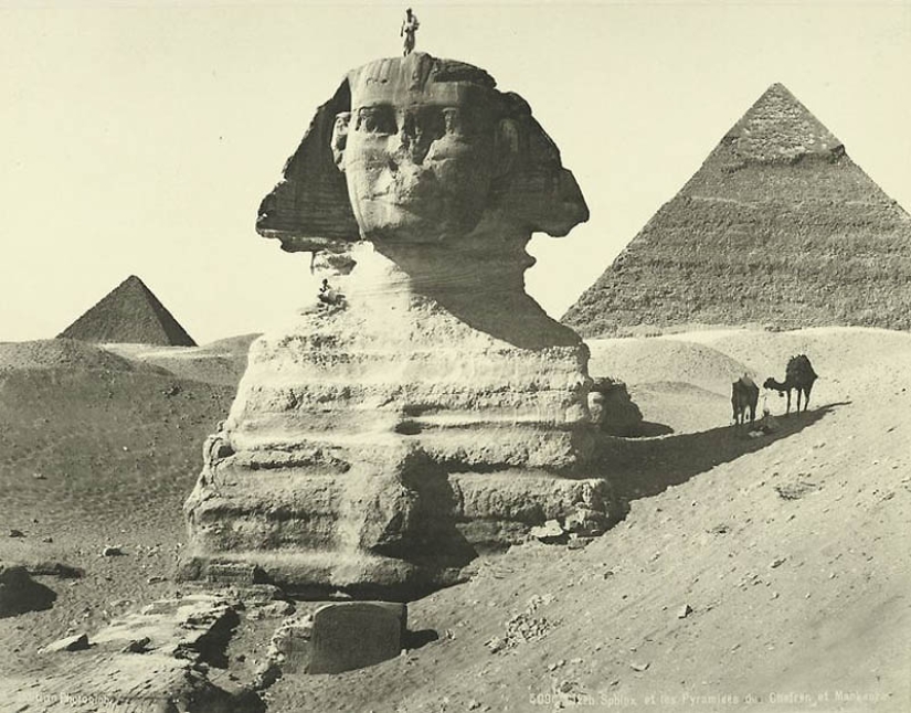 Standing before pyramids and had a different head: what secrets associated with the Egyptian Sphinx