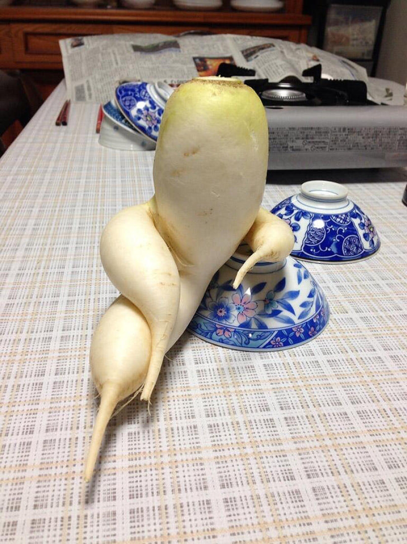 Stately radish and other fruit-vegetables that have forgotten that they are plants