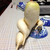 Stately radish and other fruit-vegetables that have forgotten that they are plants