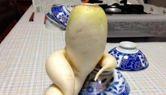 Stately radish and other fruit-vegetables that have forgotten that they are plants