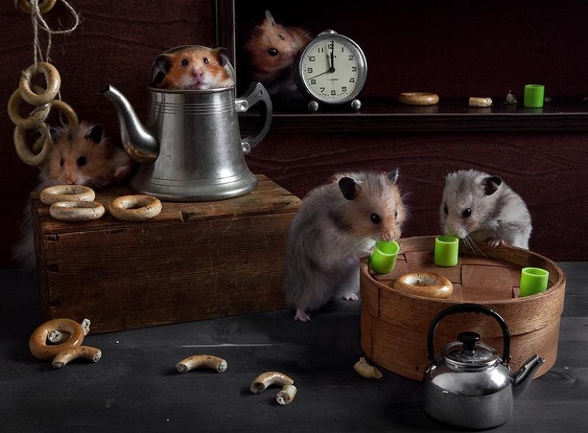 Still lifes with hamsters