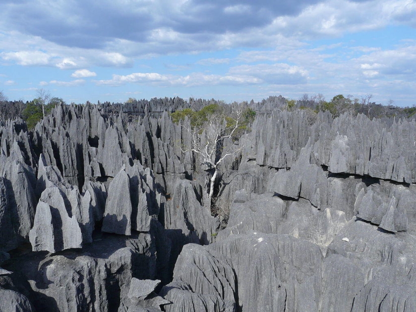 Stone Forest in Madagascar