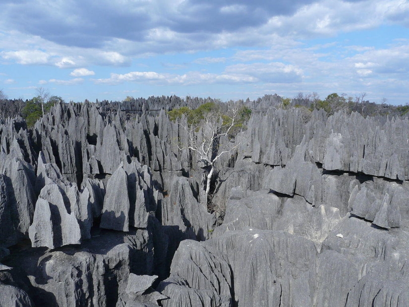 Stone forest in Madagascar