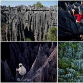 Stone forest in Madagascar