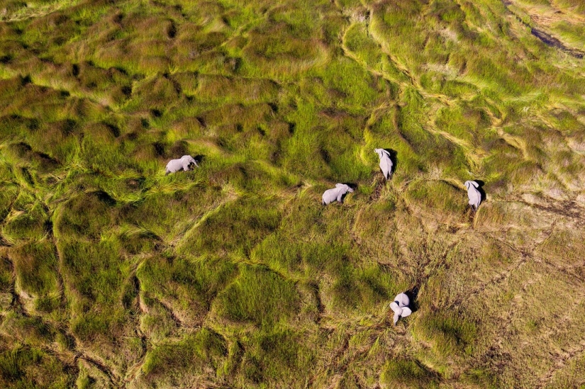 Stunning bird&#39;s eye view of Earth