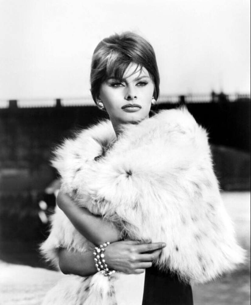 Stunning Sophia Loren during the filming of the movie " Millionaire»