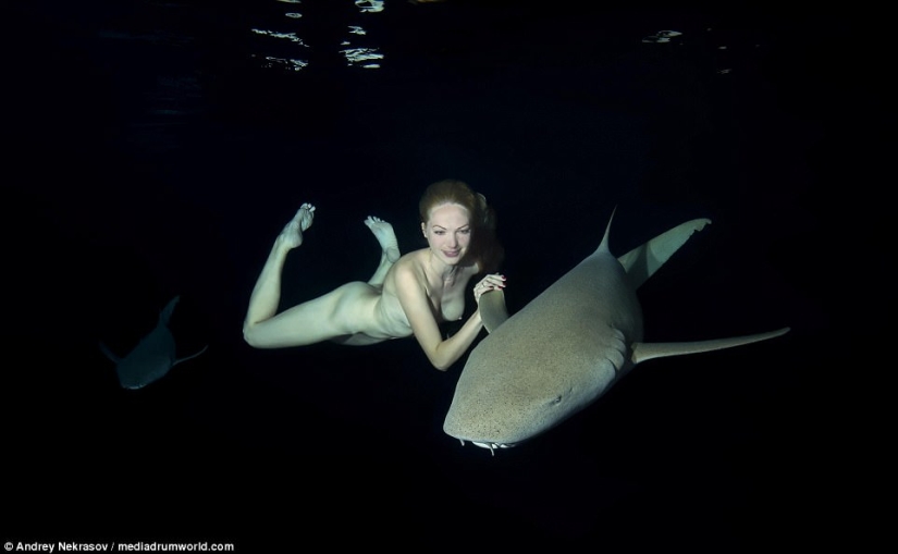 Stunning underwater footage: Nude Russian model swims with sharks