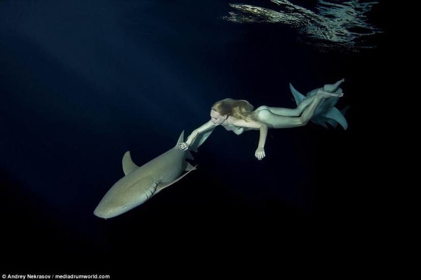 Stunning underwater footage: Nude Russian model swims with sharks