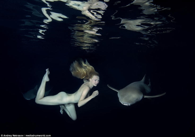 Stunning underwater footage: Nude Russian model swims with sharks