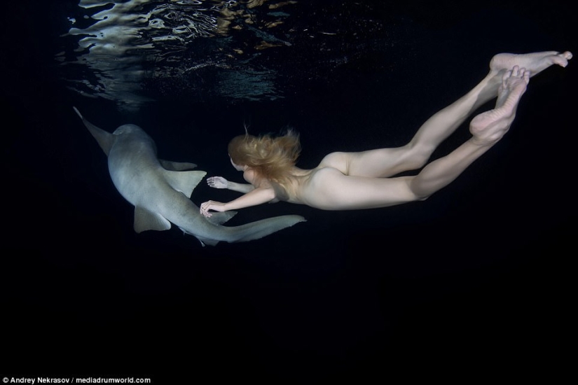 Stunning underwater footage: Nude Russian model swims with sharks