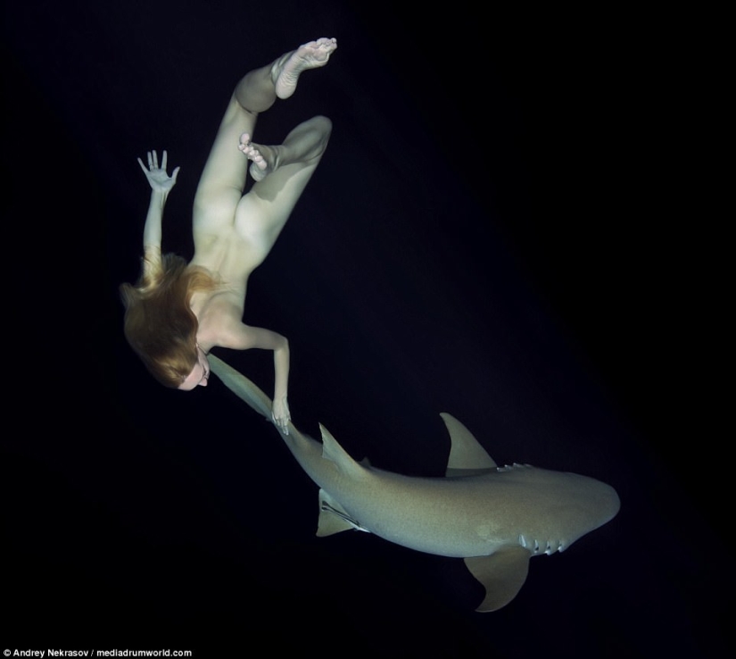 Stunning underwater footage: Nude Russian model swims with sharks