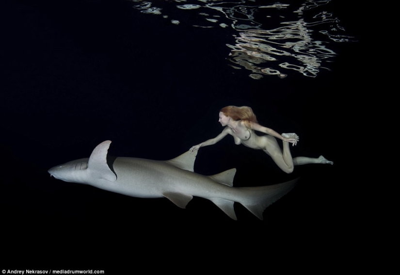 Stunning underwater footage: Nude Russian model swims with sharks