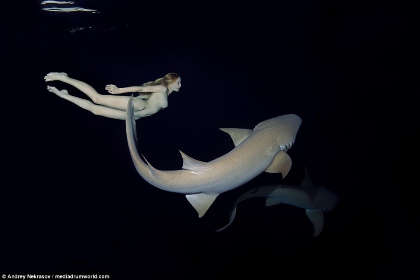 Stunning underwater footage: Nude Russian model swims with sharks