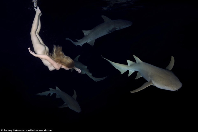 Stunning underwater footage: Nude Russian model swims with sharks