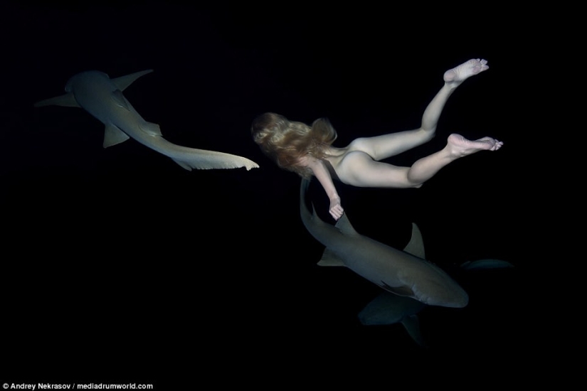 Stunning underwater footage: Nude Russian model swims with sharks