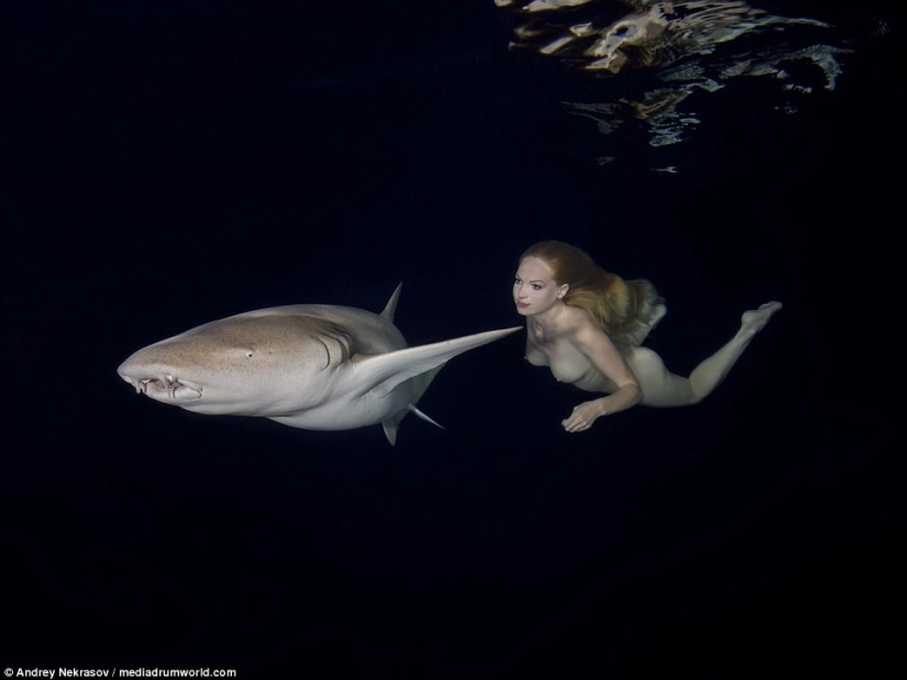 Stunning underwater footage: Nude Russian model swims with sharks