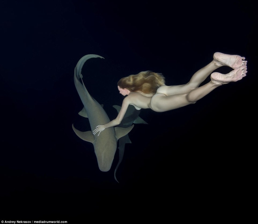 Stunning underwater footage: Nude Russian model swims with sharks