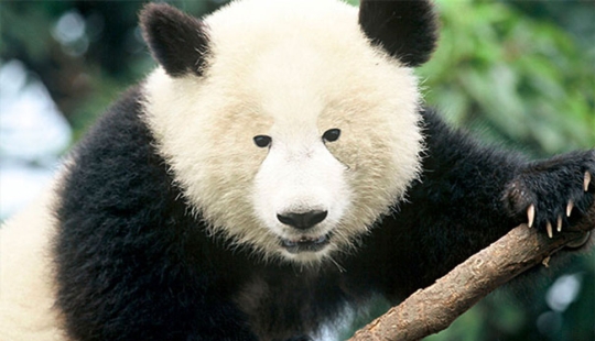 Sudden facts that you haven't thought about before