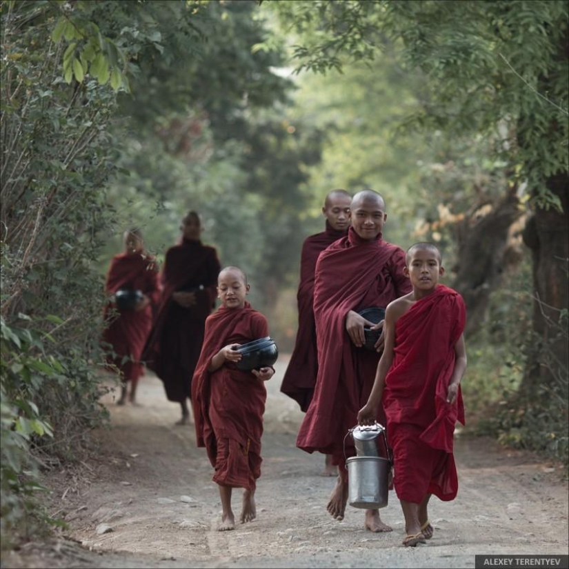 Sunrise over rice fields and monks feeding