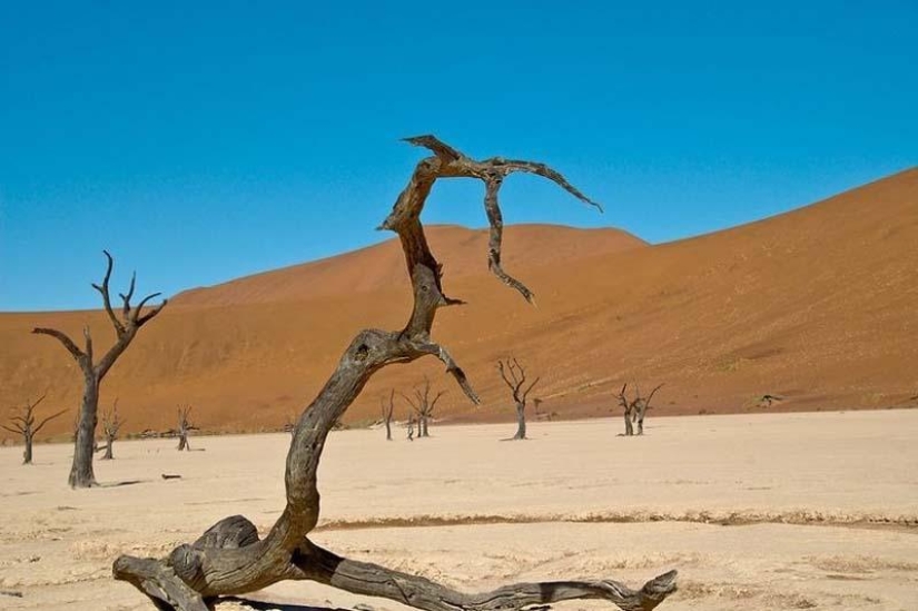 Surreal landscapes of the Namib-Naukluft park