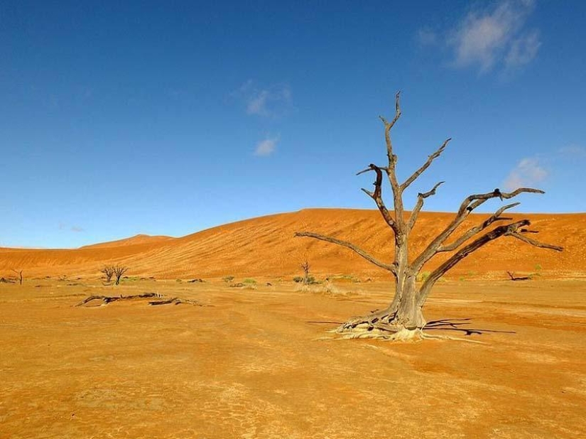 Surreal landscapes of Namib-Naukluft Park